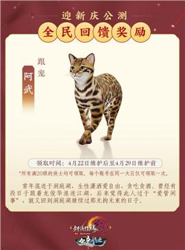百炼成仙版本天龙八部私服